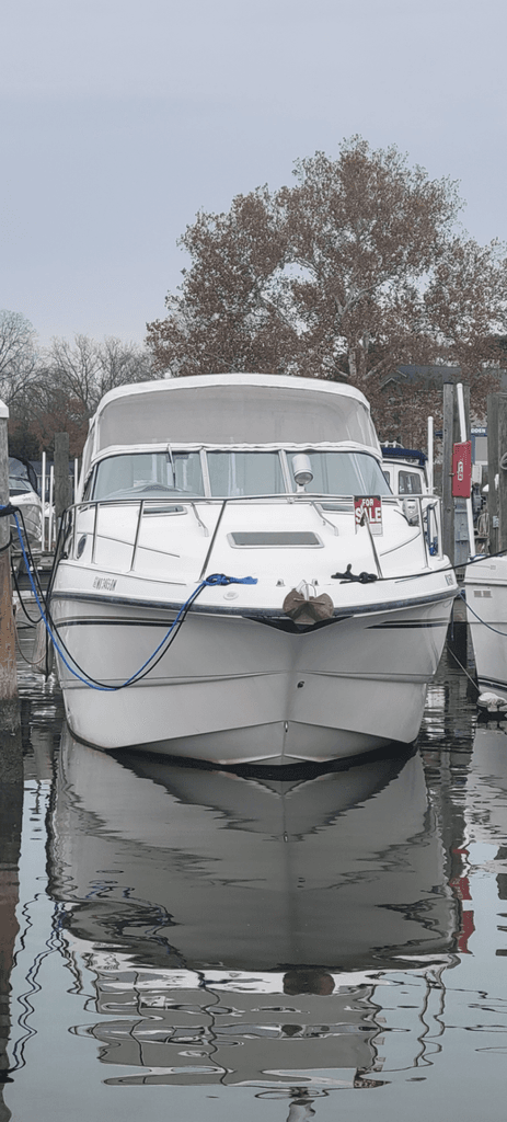 MaRiNa　E⑥ 1999 Chaparral Signature 300 - National Vehicle