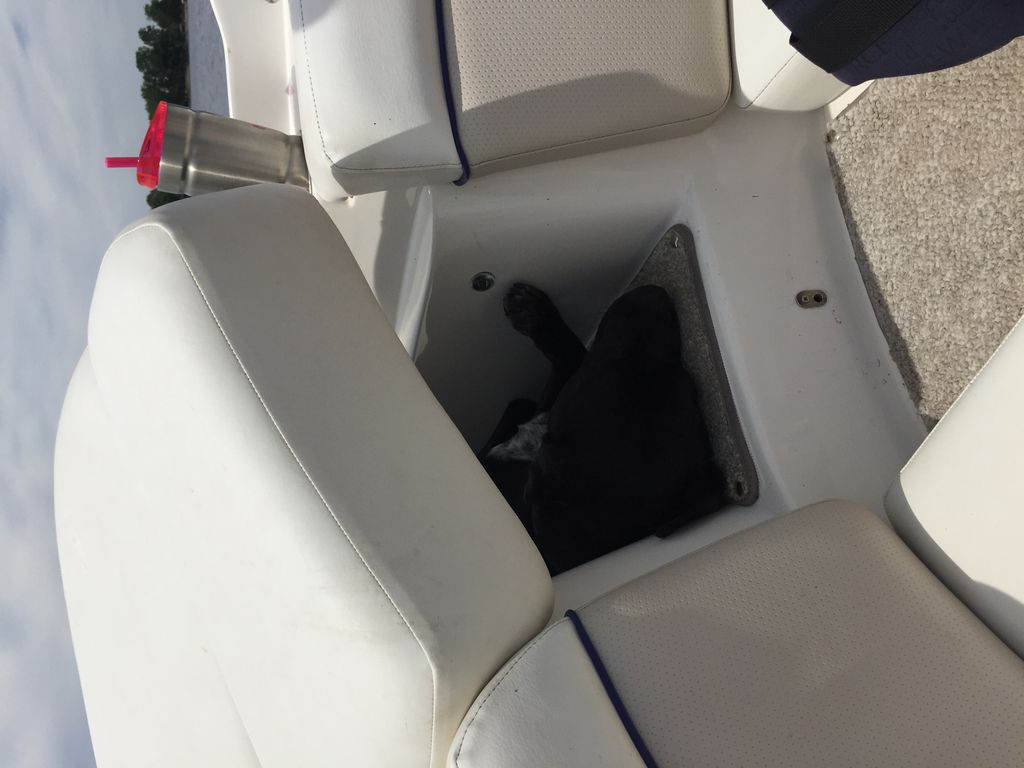 2007 Rinker 226 Captiva Bowrider - National Vehicle