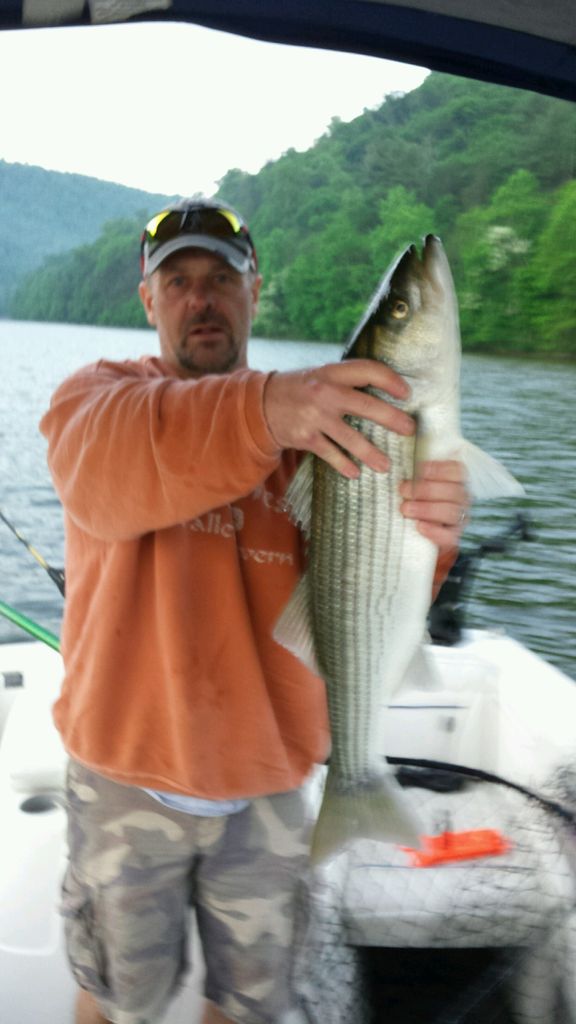 2006 Bayliner 194 SF - National Vehicle