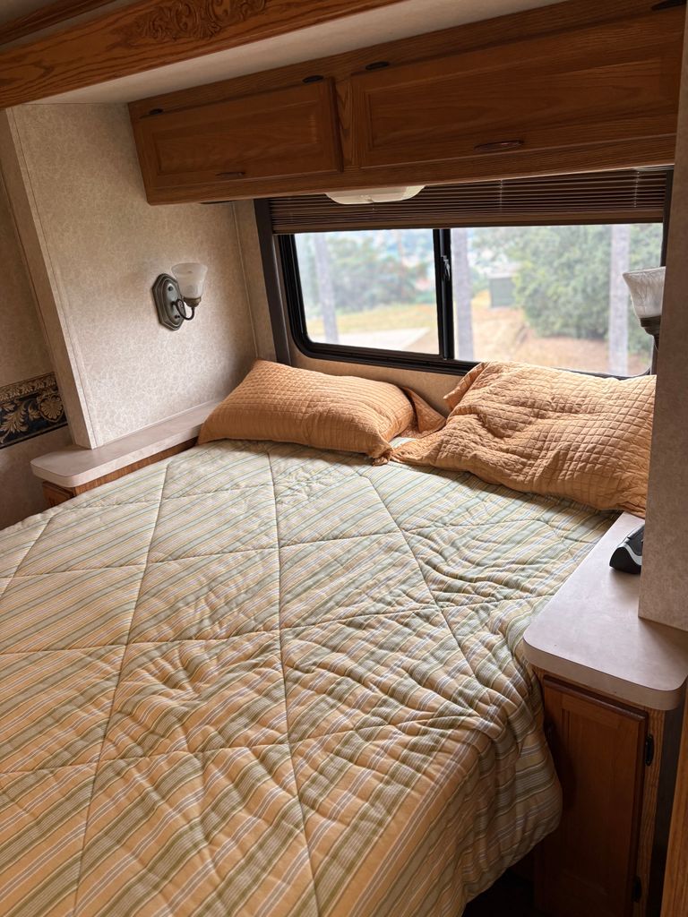 2003 Fleetwood Flair 31A - National Vehicle