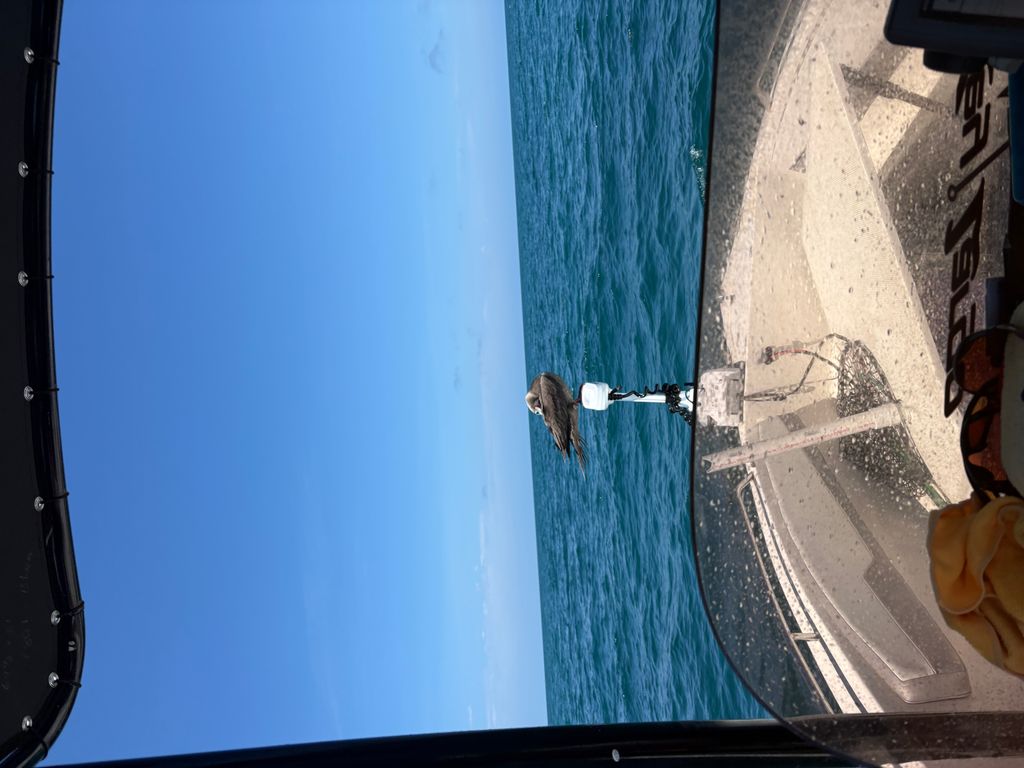 2024 Caravelle Key Largo 1800 CC - National Vehicle