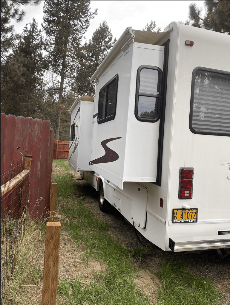 チーター シチズン レオパール ダイバー 4-722710 Y 年間査定総数10000点