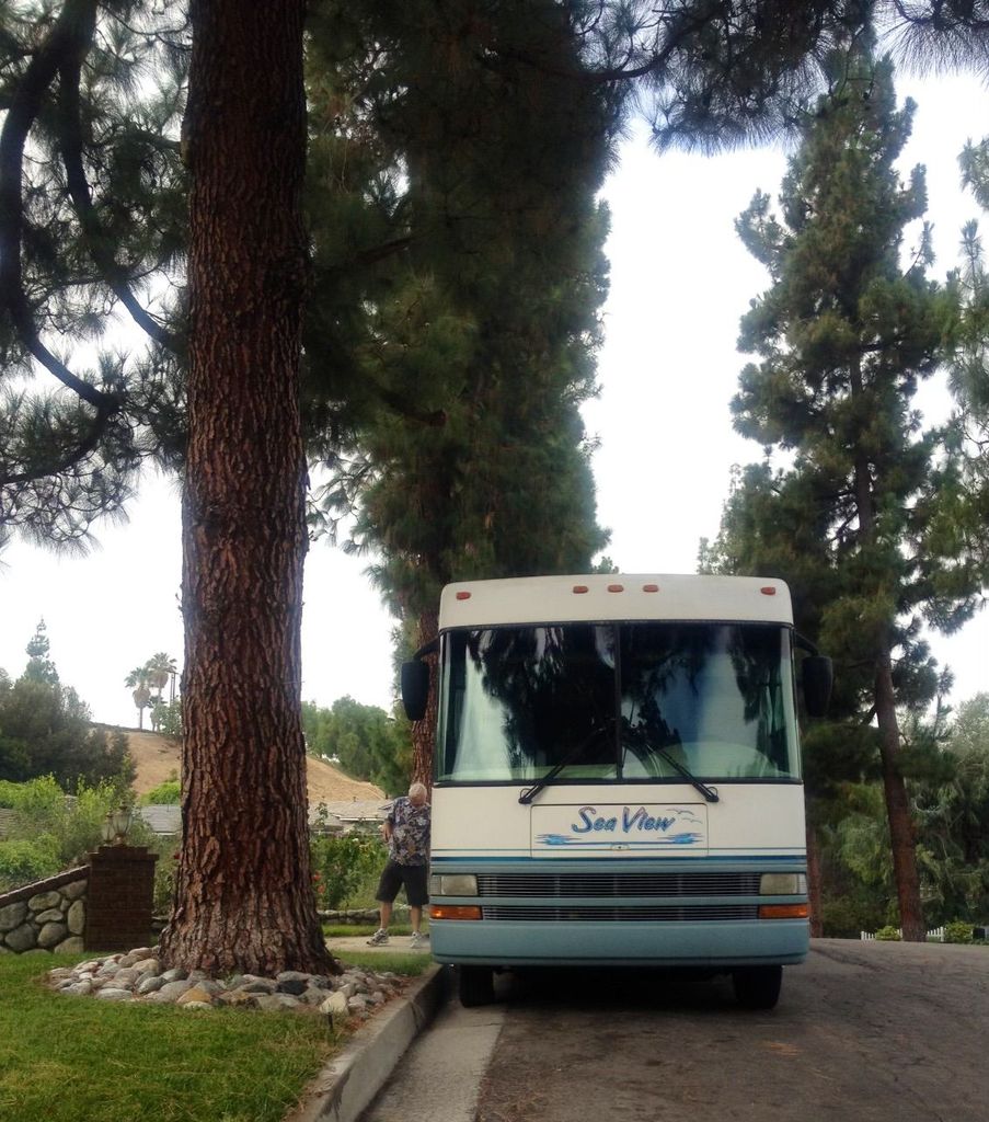 1999 National RV Sea View 8310 - National Vehicle